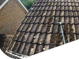 Roof Cleaning Service